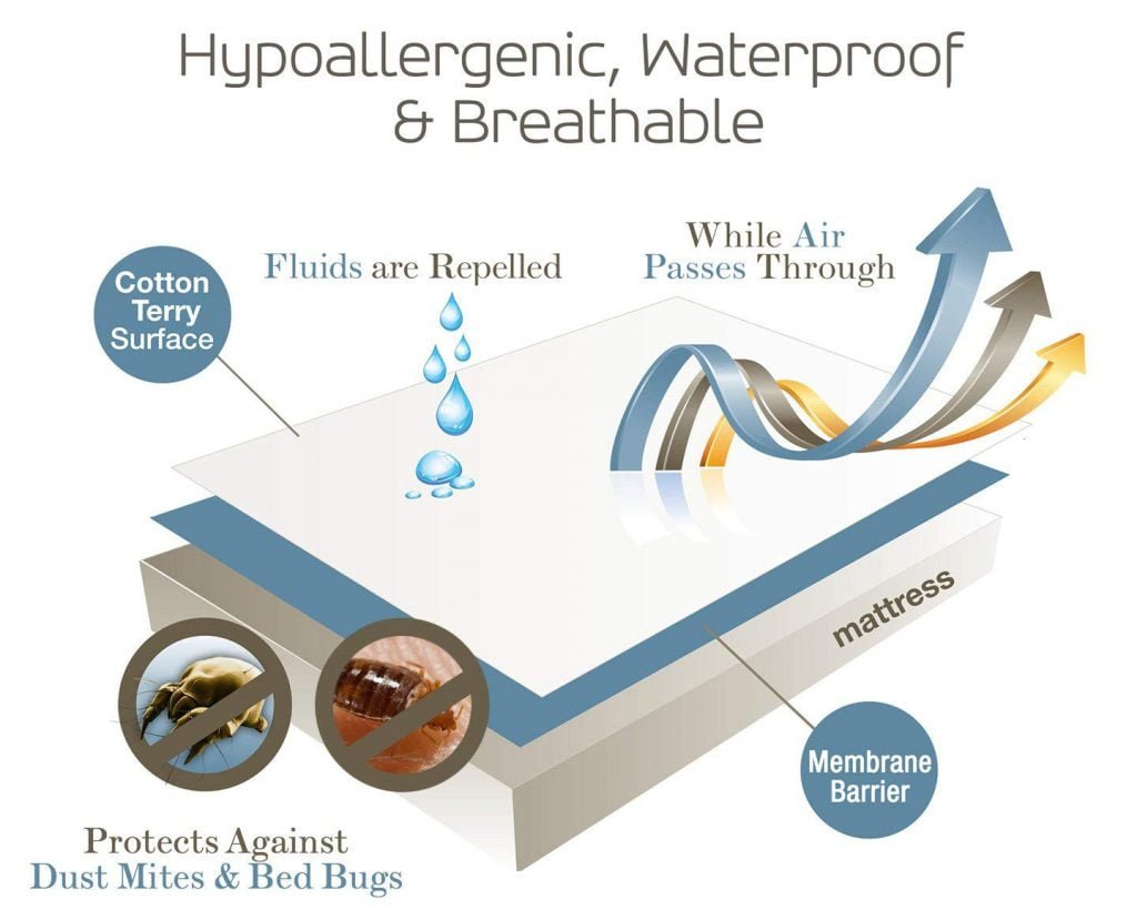 best mattress and box spring protector