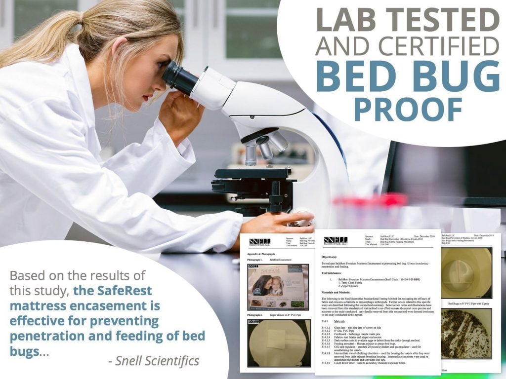 Best Mattress & Box Spring Protector