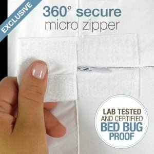 Best Mattress & Box Spring Protector