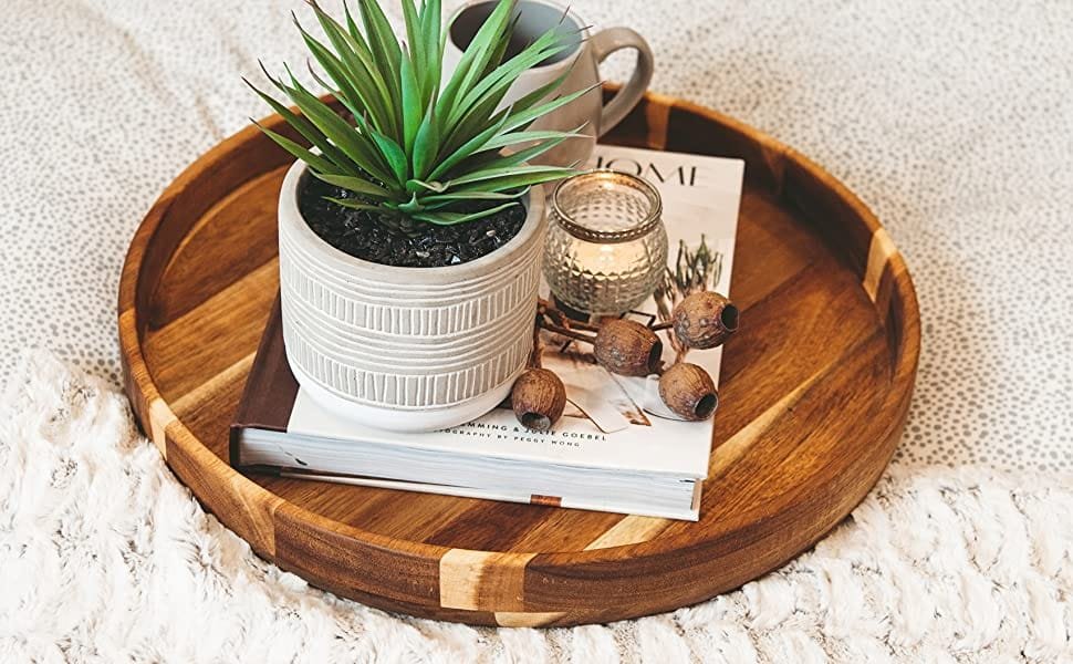 Fake-potted-succulent-plant
