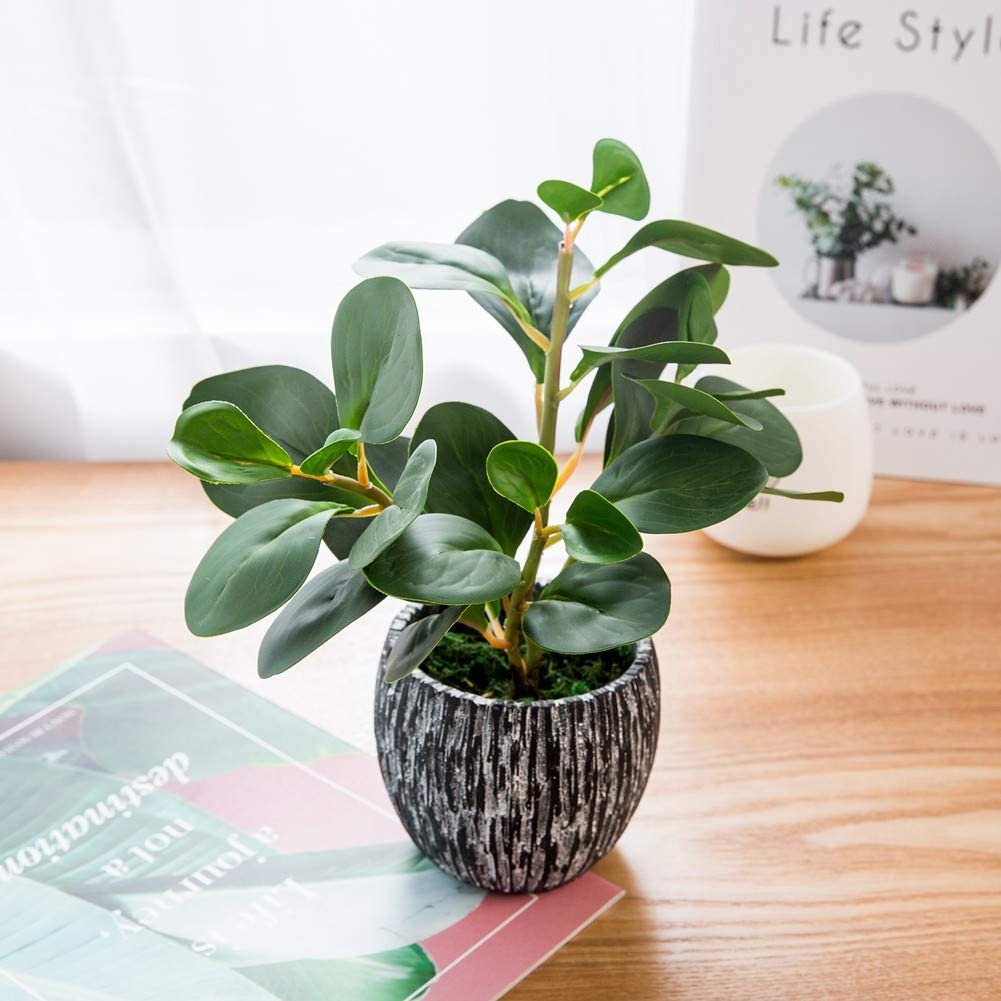 Faux-Fiddle-Leaf-Fig-Succulent