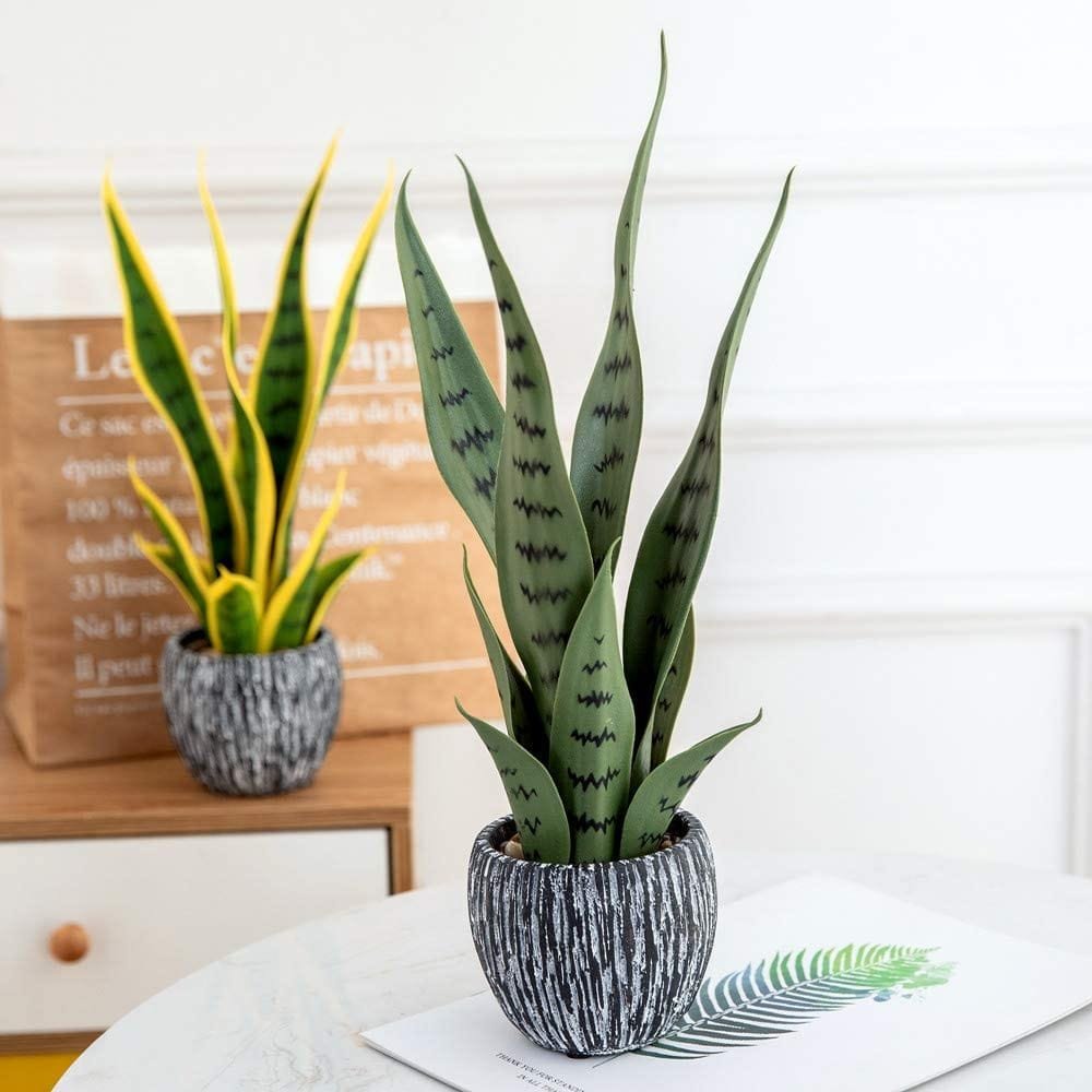 Faux-snake-plant