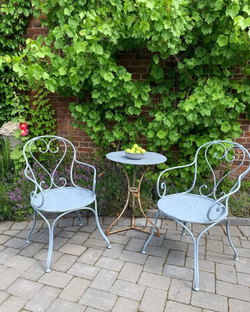 Style your outdoor space with French country charm: two light blue metal chairs and a small round table with a bowl of fruit sit on a stone patio, framed by green vines and a brick wall.